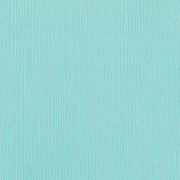 BAZZILL BAZZILL MONO ARUBA CARDSTOCK 12X12