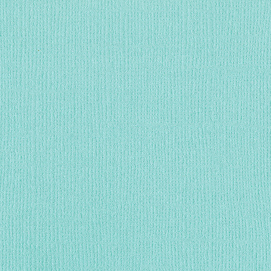 BAZZILL BAZZILL MONO ARUBA CARDSTOCK 12X12