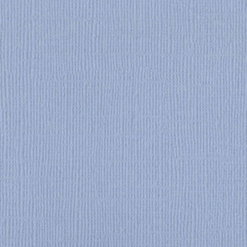 BAZZILL BAZZILL MONO PAULY POO CARDSTOCK 12X12