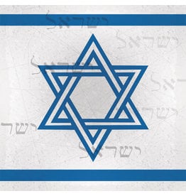 SCRAPBOOK CUSTOMS SCRAPBOOK CUSTOMS ISRAEL COMPANION 12X12