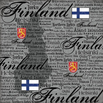 SCRAPBOOK CUSTOMS SCRAPBOOK CUSTOMS FINLAND SCRATCHY 12X12