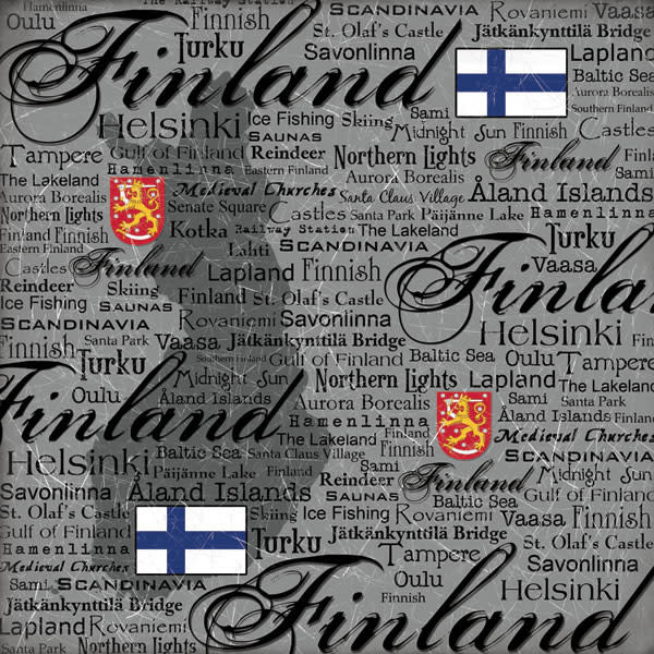 SCRAPBOOK CUSTOMS SCRAPBOOK CUSTOMS FINLAND SCRATCHY 12X12