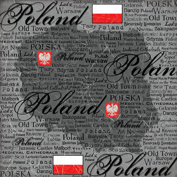 SCRAPBOOK CUSTOMS SCRAPBOOK CUSTOMS SCRATCHY POLAND 12X12