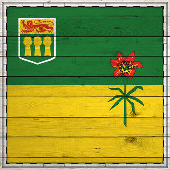 SCRAPBOOK CUSTOMS 12X12 SASKATCHEWAN WOOD SIGHTSEEING