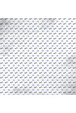 SCRAPBOOK CUSTOMS SCRAPBOOK CUSTOMS ISRAEL FLAG SIGHTS PAPER 12X12