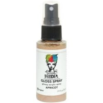 RANGER RANGER DINA WAKLEY MEDIA GLOSS SPRAY APRICOT 2OZ