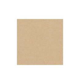 MY COLORS MY COLORS CLASSIC 80 LB COVER WEIGHT KRAFT 12x12 CARDSTOCK