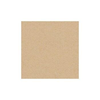 MY COLORS MY COLORS CLASSIC 80 LB COVER WEIGHT KRAFT 12x12 CARDSTOCK