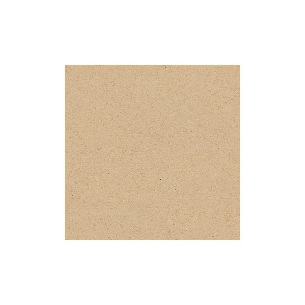 MY COLORS MY COLORS CLASSIC 80 LB COVER WEIGHT KRAFT 12x12 CARDSTOCK