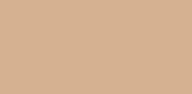 GINA K DESIGNS GINA K. DESIGNS METALLIC BLUSH EMBOSSING POWDER 1OZ