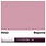 COPIC COPIC RV63 BEGONIA REFILL
