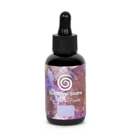 CREATIVE EXPRESSIONS CREATIVE EXPRESSIONS COSMIC SHIMMER SAM POOLE BLACKBERRY BOTANICAL STAINS 60ml