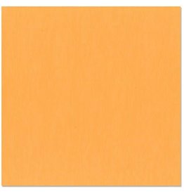 BAZZILL BAZZILL MONO APRICOT CARDSTOCK 12X12