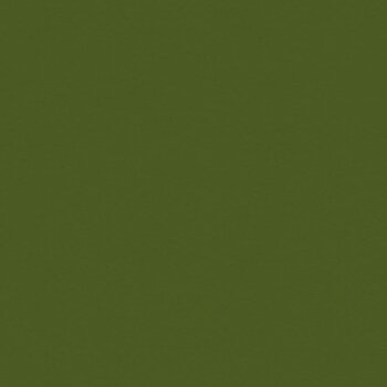 MY COLORS MY COLORS CLASSIC 80 LB COVER WEIGHT HOLIDAY GREEN 12x12 CARDSTOCK