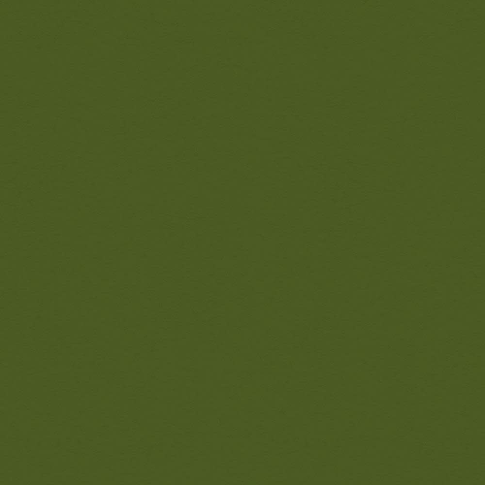 MY COLORS MY COLORS CLASSIC 80 LB COVER WEIGHT HOLIDAY GREEN 12x12 CARDSTOCK