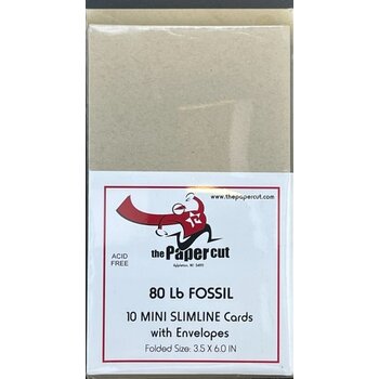 PAPER CUT THE PAPER CUT 10 MINI FOSSIL SLIMLINE CARDS WITH ENVELOPES 3.5x6.0