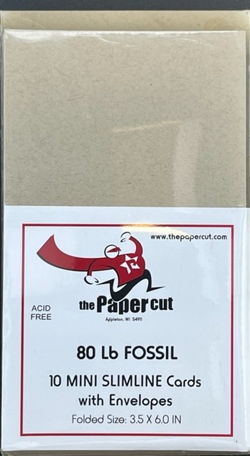 PAPER CUT THE PAPER CUT 10 MINI FOSSIL SLIMLINE CARDS WITH ENVELOPES 3.5x6.0
