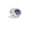 BRUTUS MONROE VIOLET FROST EMBOSSING POWDER