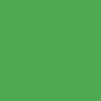 BAZZILL BAZZILL SMOOTHIES CLOVER LEAF CARDSTOCK 12X12