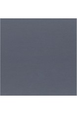 MY COLORS MY COLORS CLASSIC 80 LB COVER WEIGHT STEEL 12x12 CARDSTOCK