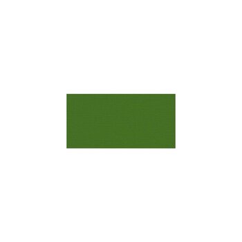 MY COLORS MY COLORS CANVAS 80 LB COVER WEIGHT PARROT 12x12 CARDSTOCK