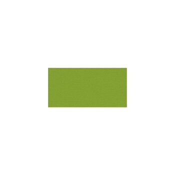 MY COLORS MY COLORS CANVAS 80 LB COVER WEIGHT MINT JULEP 12x12 CARDSTOCK