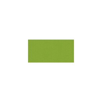 MY COLORS MY COLORS 100 LB HEAVYWEIGHT CRISP GREEN 12x12 CARDSTOCK