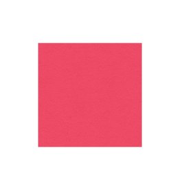 MY COLORS MY COLORS 100 LB HEAVYWEIGHT WATERMELON PINK 12x12 CARDSTOCK