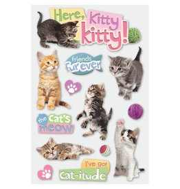 PAPER HOUSE PRODUCTIONS PAPER HOUSE HERE KITTY KITTY! 3D STICKERS