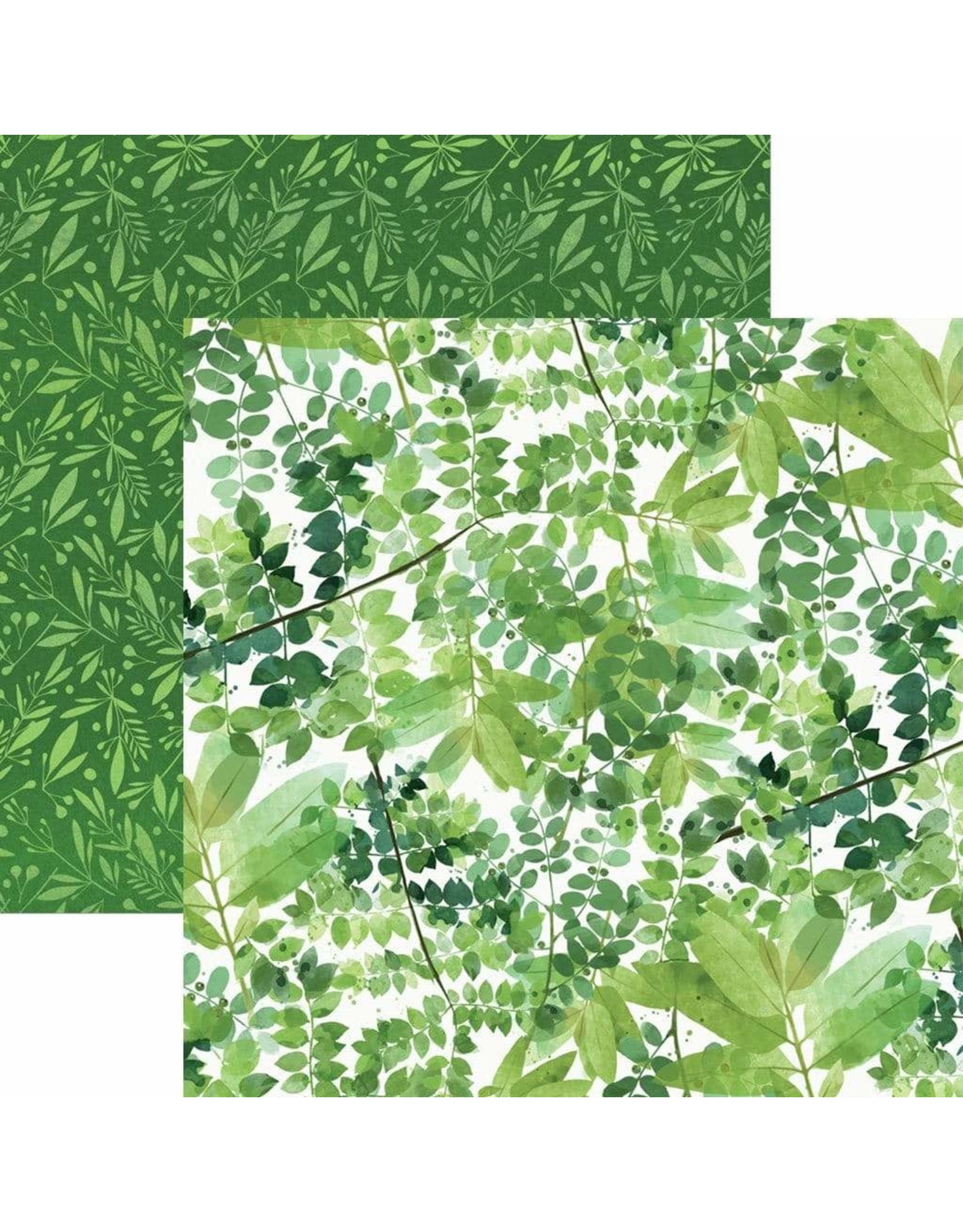PAPER HOUSE PRODUCTIONS PAPER HOUSE GREEN WATERCOLOR LEAVES 12X12 CARDSTOCK
