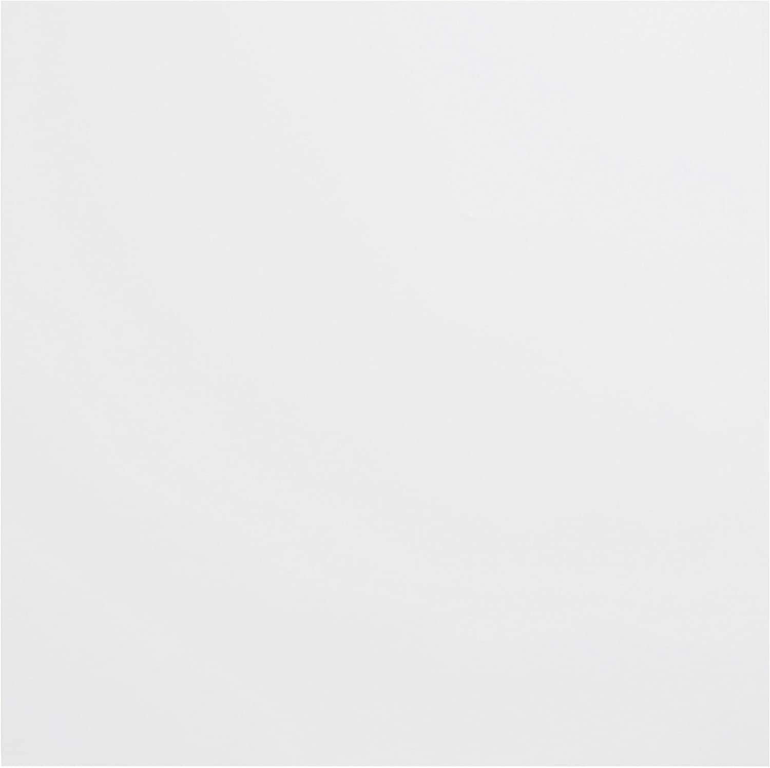 BAZZILL BAZZILL SNOWBALL PLASTIC EMBOSSING SPECIALTY PAPER 12X12