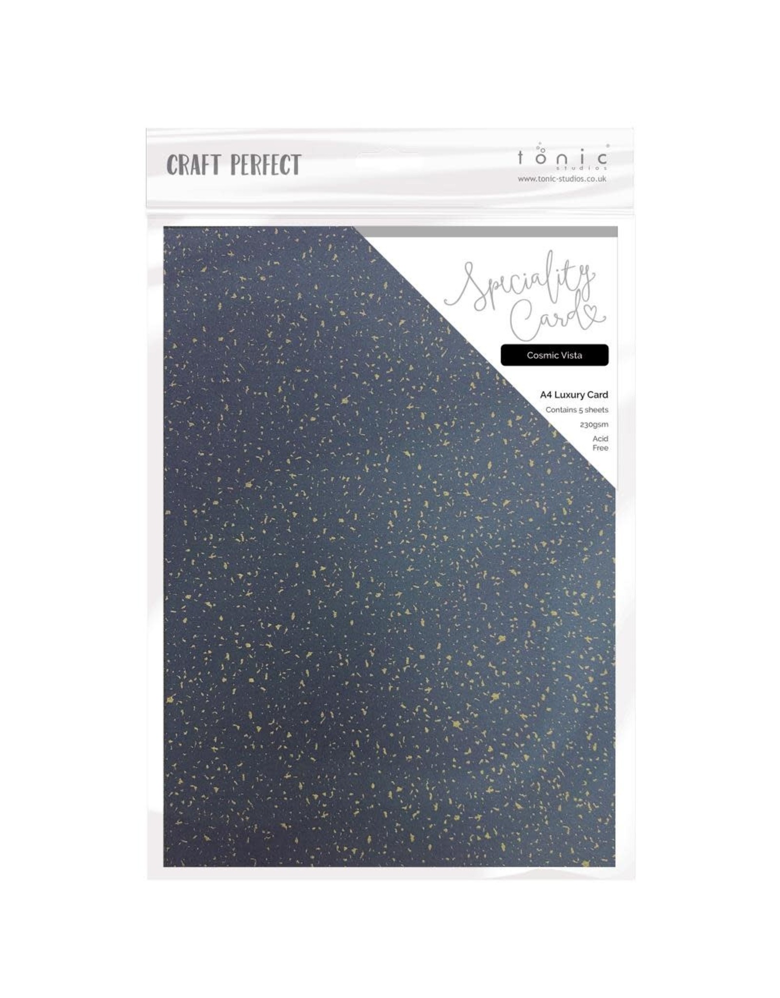 TONIC TONIC STUDIOS SPECIALITY CARD A4 LUXURY EMBOSSED CARD COSMIC VISTA 5/PK