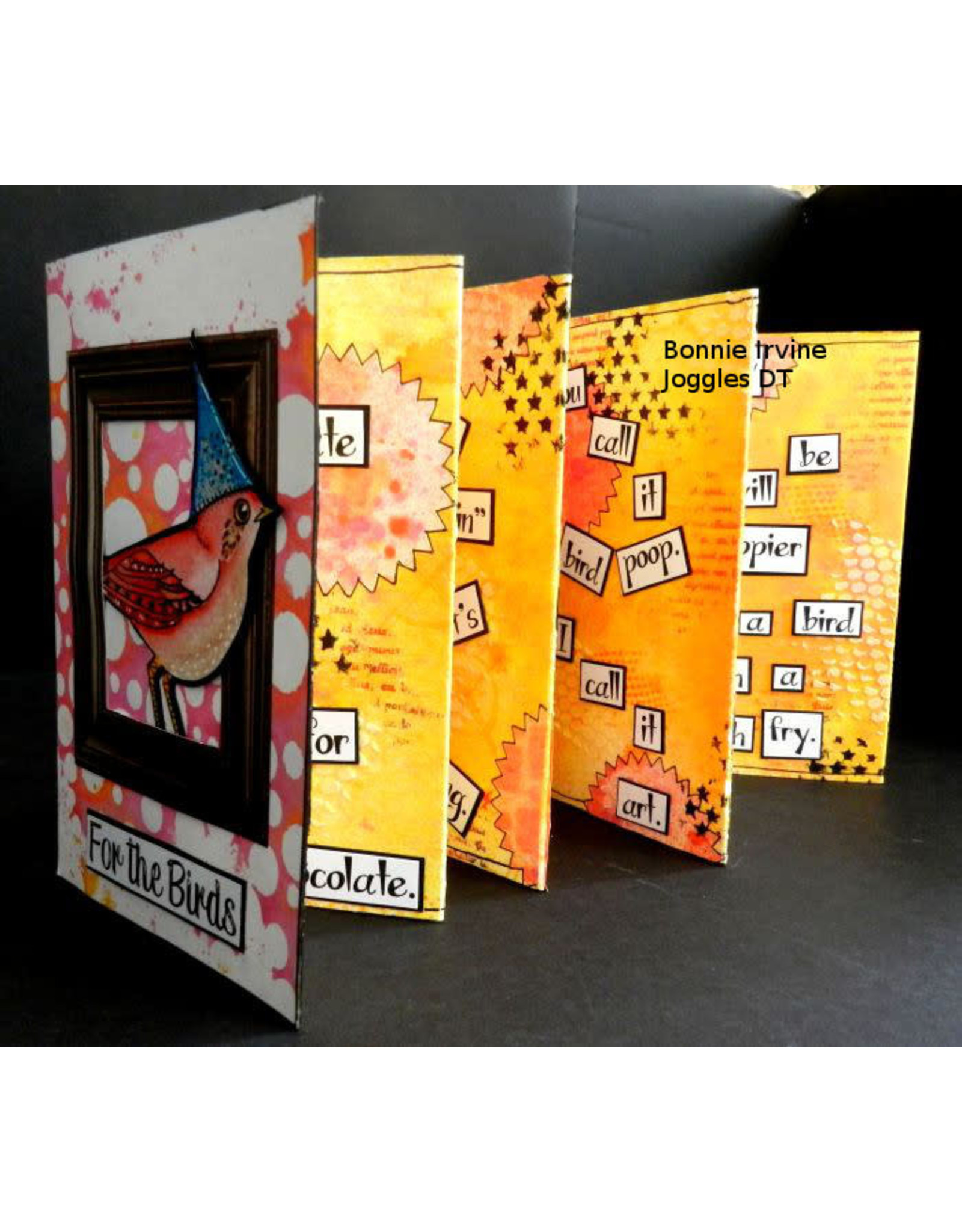 JOGGLES JOGGLES 9x12 ACCORDION BOOK PANELS