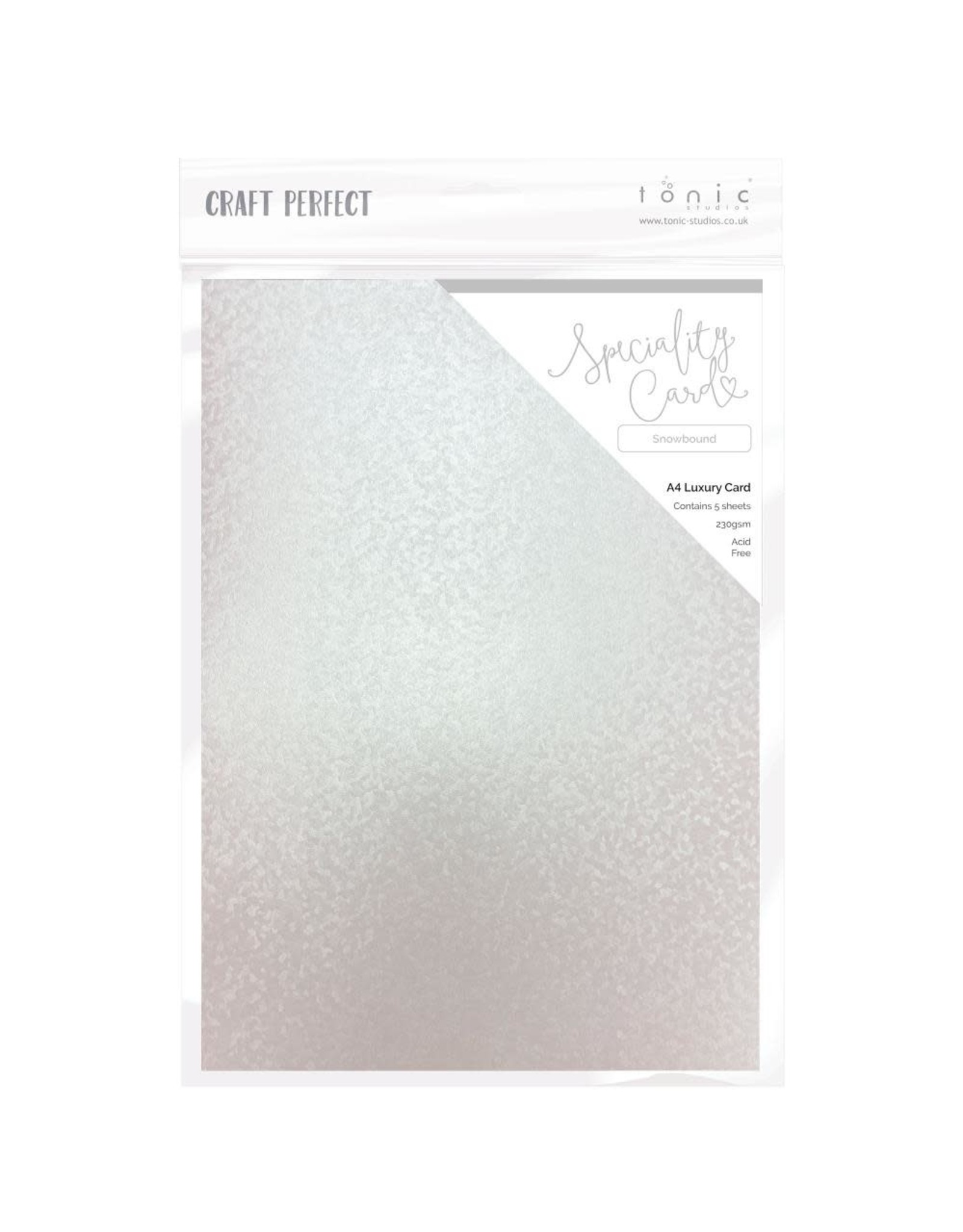 TONIC TONIC STUDIOS SPECIALITY CARD A4 LUXURY EMBOSSED CARD SNOWBOUND 5/PK