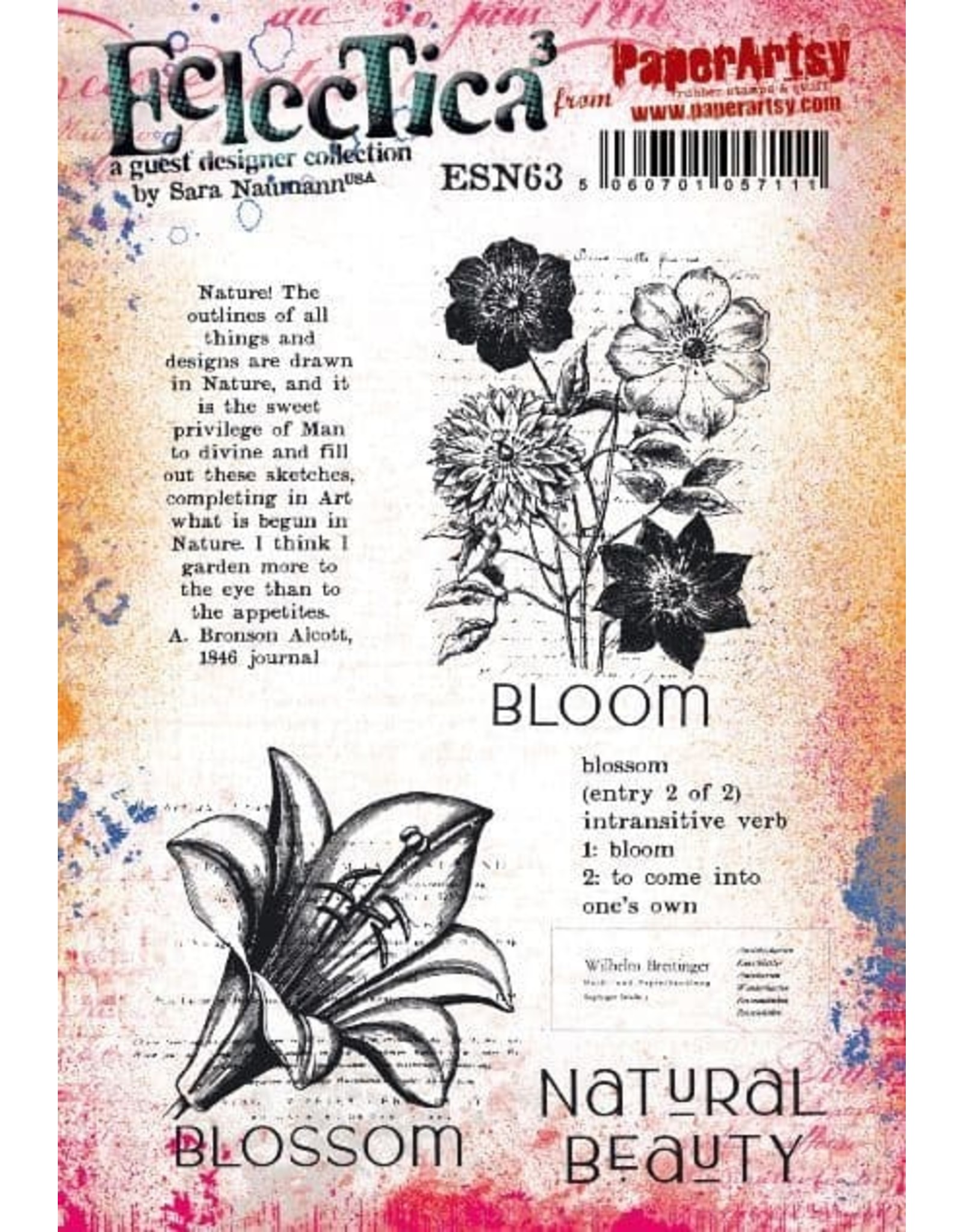 PAPER ARTSY PAPER ARTSY ECLECTICA SARA NAUMANN ESN63 CLING STAMP SET