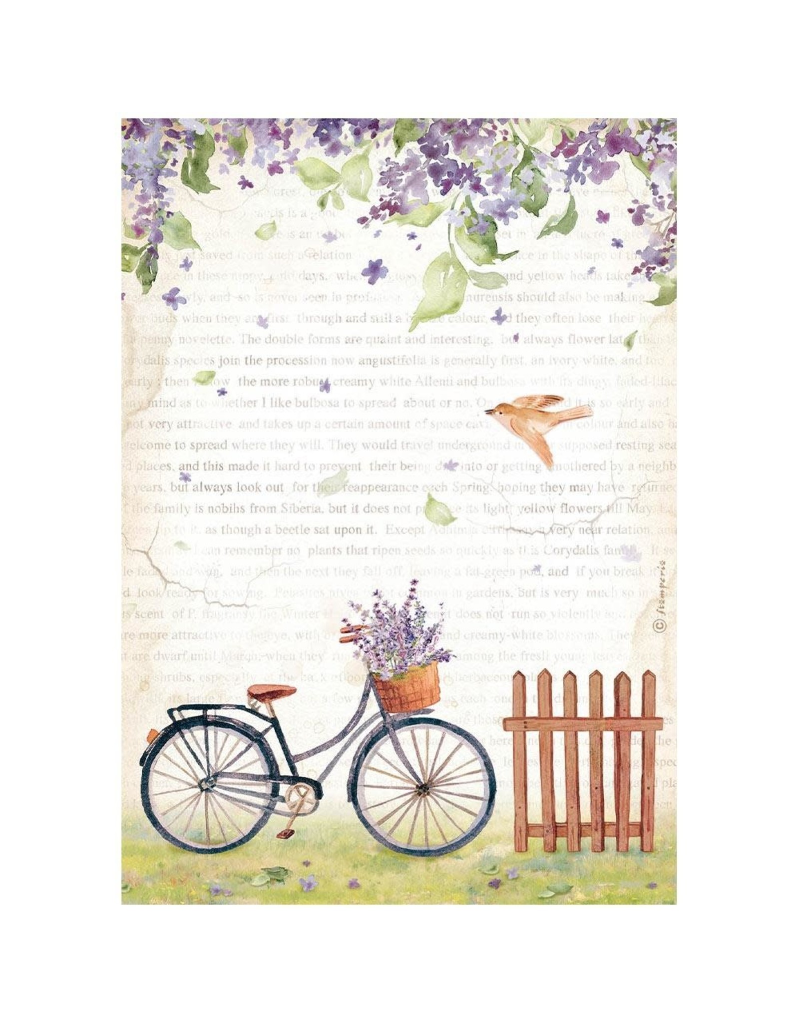 STAMPERIA STAMPERIA VICKY PAPAIOANNOU CREATE HAPPINESS WELCOME HOME BICYCLE RICE PAPER DECOUPAGE 21X29.7CM