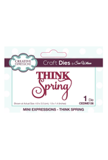 CREATIVE EXPRESSIONS CREATIVE EXPRESSIONS SUE WILSON MINI EXPRESSIONS - THINK SPRING