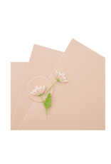 SPELLBINDERS SPELLBINDERS PEACH SORBET COLOR ESSENTIALS CARDSTOCK 8.5x11 10/PK