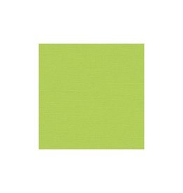 MY COLORS MY COLORS CANVAS 80 LB COVER WEIGHT LIMELIGHT 12x12 CARDSTOCK
