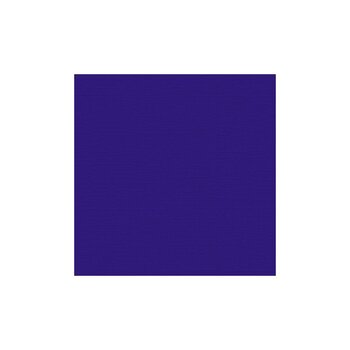 MY COLORS MY COLORS CANVAS 80 LB COVER WEIGHT PLUM 12x12 CARDSTOCK