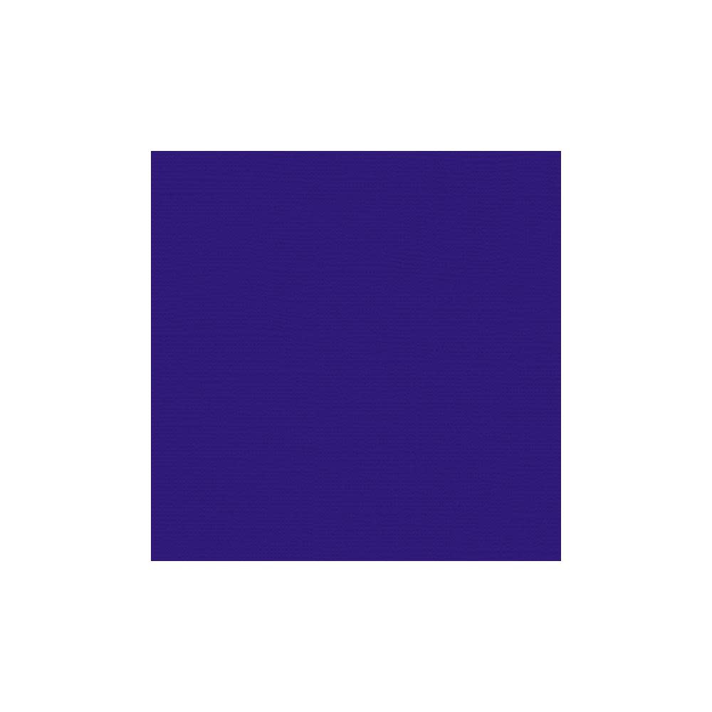 MY COLORS MY COLORS CANVAS 80 LB COVER WEIGHT PLUM 12x12 CARDSTOCK