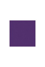MY COLORS MY COLORS 100 LB HEAVYWEIGHT CYBER GRAPE 12x12 CARDSTOCK