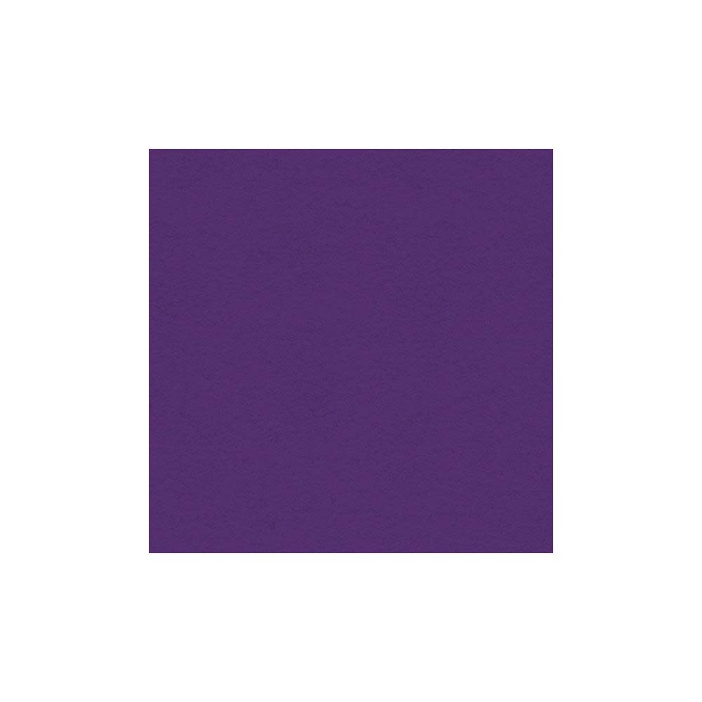 MY COLORS MY COLORS 100 LB HEAVYWEIGHT CYBER GRAPE 12x12 CARDSTOCK