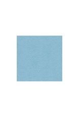MY COLORS MY COLORS 100 LB HEAVYWEIGHT MOONSTONE BLUE 12x12 CARDSTOCK