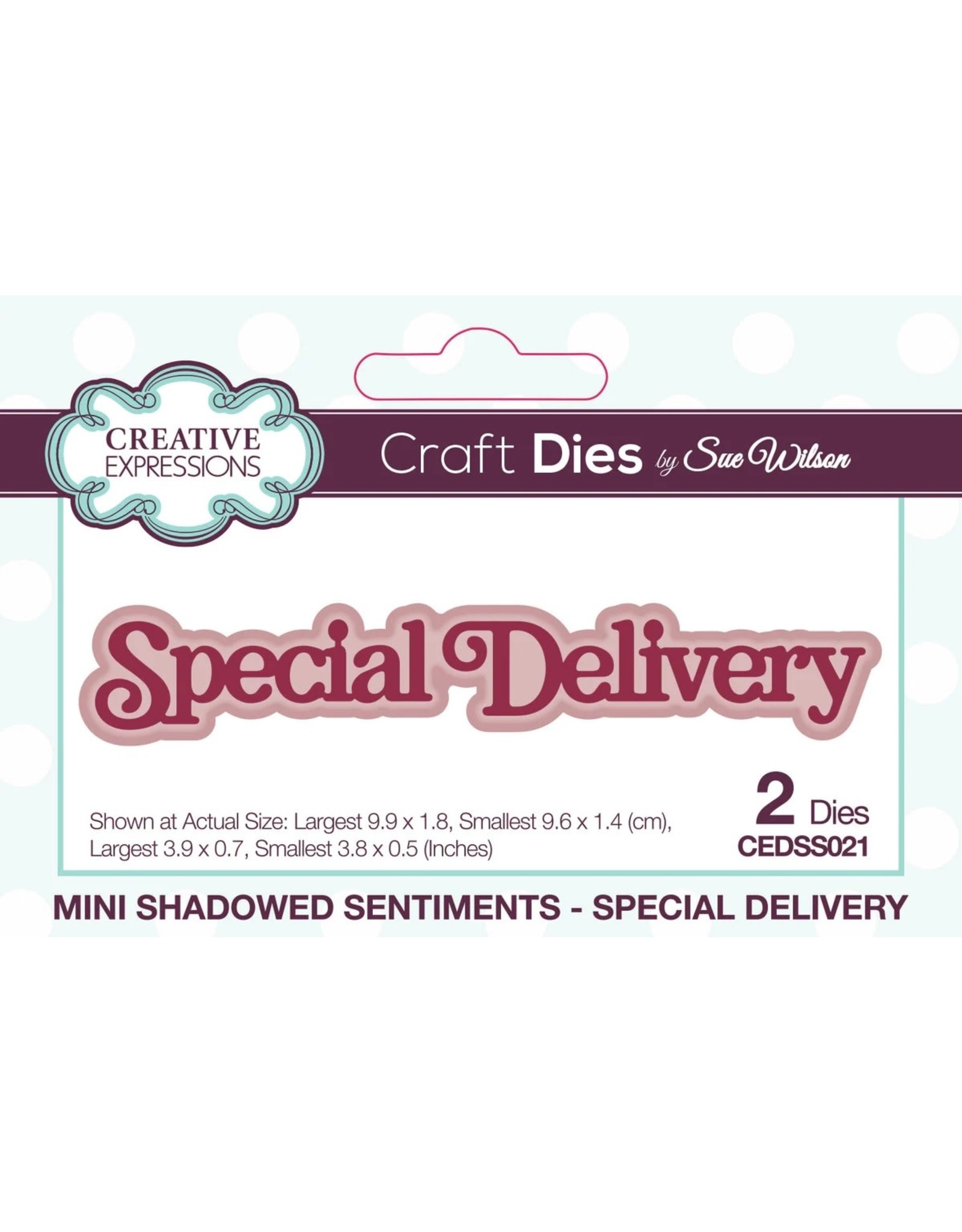 CREATIVE EXPRESSIONS CREATIVE EXPRESSIONS SUE WILSON MINI SHADOWED SENTIMENTS - SPECIAL DELIVERY DIE SET