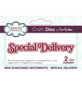 CREATIVE EXPRESSIONS CREATIVE EXPRESSIONS SUE WILSON MINI SHADOWED SENTIMENTS - SPECIAL DELIVERY DIE SET