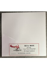 PAPER CUT THE PAPER CUT 100 LB WHITE COUGAR OPAQUE 12x12 CARDSTOCK 25 SHEETS