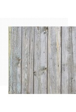 SIMPLE STORIES SIMPLE STORIES COLOR VIBE BIRCH/WHITE GRID 12x12 CARDSTOCK