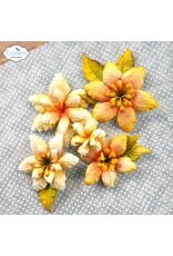 ELIZABETH CRAFT DESIGNS ELIZABETH CRAFT DESIGNS FLORALS 20 DIE SET