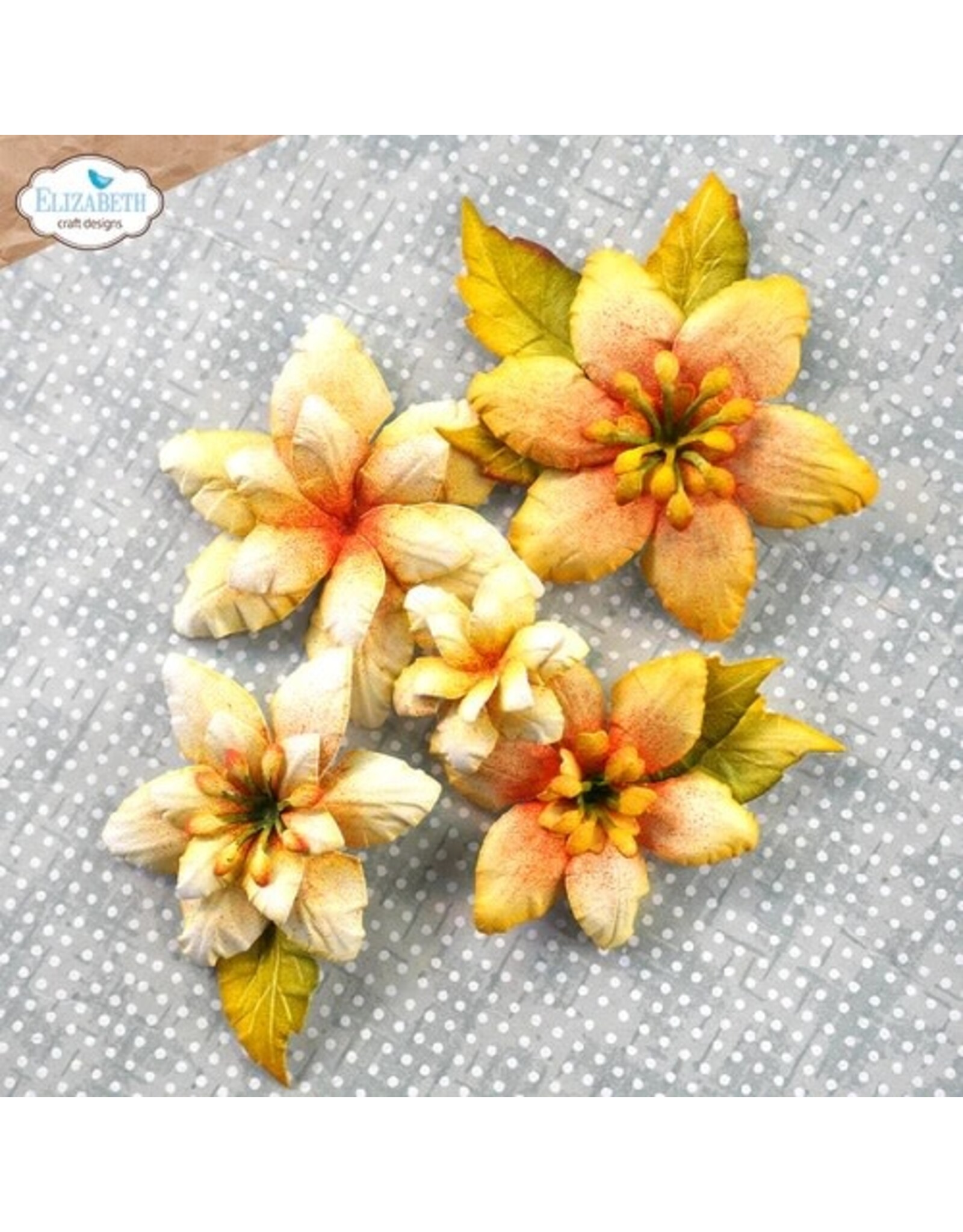 ELIZABETH CRAFT DESIGNS ELIZABETH CRAFT DESIGNS FLORALS 20 DIE SET